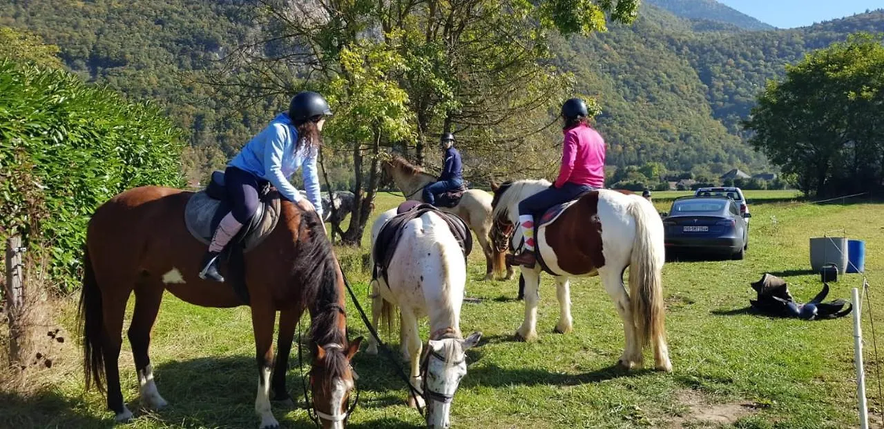 Hébergement de vacances Manou du Lac Annecy Doussard